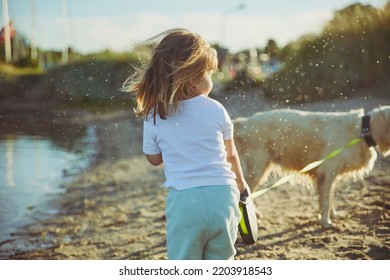 Dog Splashing Water On Baby After Bath On The Beach At Sunset