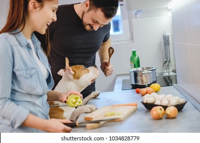 Dog standing up in the kitchen while couple is laughing while trying to prepair food - Powered by Shutterstock