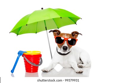 Dog Sunbathing With Umbrella