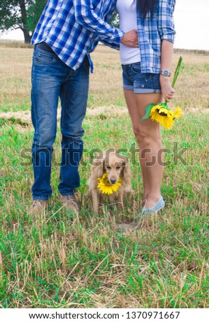 a dog with a sunflower between kissing people
