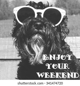 Dog in sunglasses with text: Enjoy your weekend - Shutterstock ID 341474720