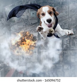 dog - superhero flying highly in the sky