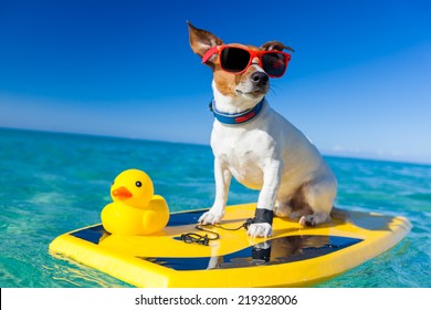 dog surfing on a surfboard wearing sunglasses with a yellow plastic rubber duck, at the ocean shore