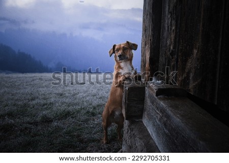 Similar – Foto Bild Unterwegs im Hochgebirge