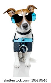 Dog Taking Pictures With A Fancy Photo Camera