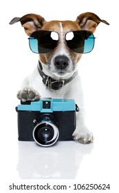 dog taking pictures with a fancy photo camera