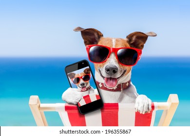 Dog Taking A Selfie In Summer Holidays