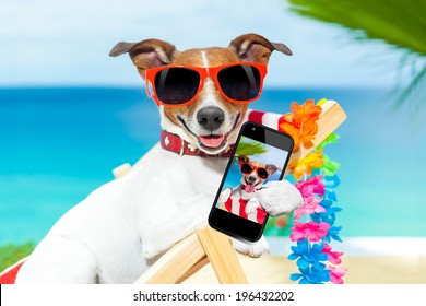 Dog Taking A Selfie In Summer Holidays