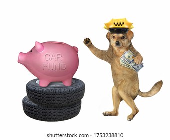 The Dog Taxi Driver In A Yellow Cap Is Saving Money For A New Car. At The Top Of The Stack Of Auto Tires Is A Large Piggy Bank.. White Background. Isolated.