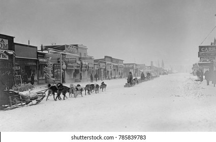 Dog Teams Leaving Anchorage, Alaska, C. 1909-1920. In Alaska's Winter, Dog Sleds Were The Only Way To Travel And Delivered Mail, Gold Ore, Food, Furs, And Other Supplies. The Sled Teams Were Supported