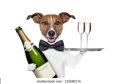 Dog Toasting New Years Eve