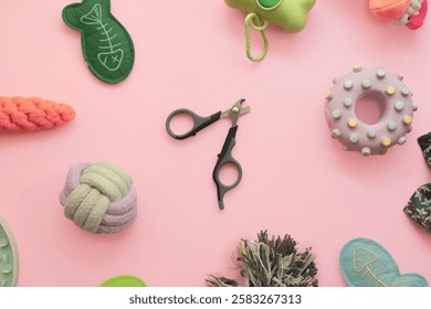 Dog tools and toys on pink background. Top view,  minimalism