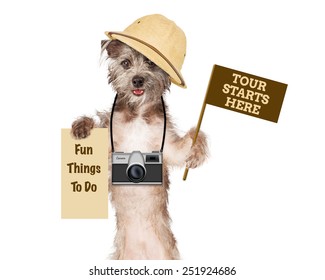 Dog Tour Guide With Camera And Signs