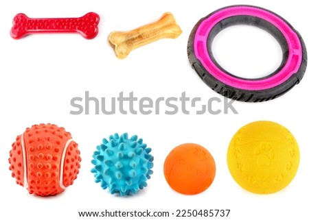 Dog Toy: ball, chewing bone, rubber ring, puller isolated on white background. Collage. Free space for text.
