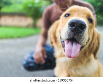 Dog Training Dog K9 To Learn The Human Language. Dogs Can Follow Orders Well.