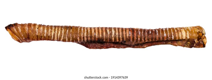 Dog Treats. Natural Healthy Chewy Treats For Pets. Dried Beef Trachea, Isolated On A White Background.