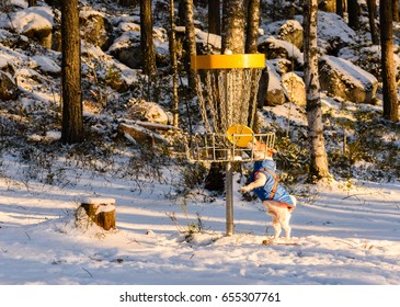 Dog Trying Steal Toy From Disc Golf Catcher Basket