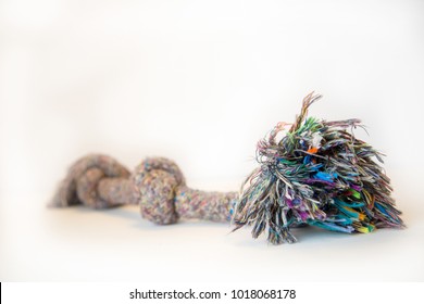 Dog Tug Of War Play Rope On White Background.