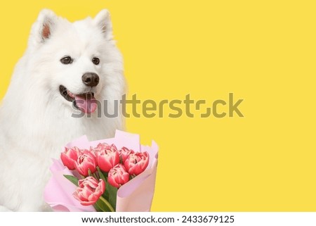 Dog with tulip bouquet on yellow background