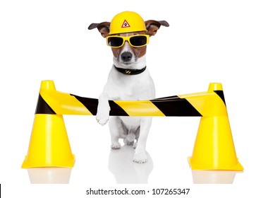 dog under construction