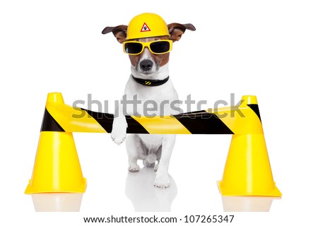 dog under construction