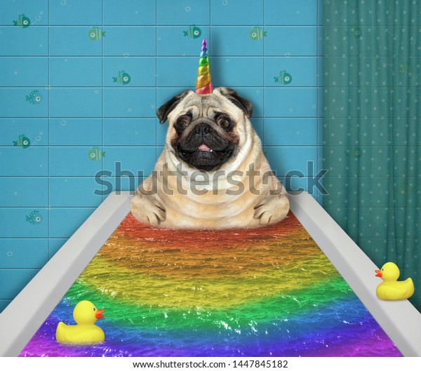 その犬の一角獣がお風呂に入っている 湯船に虹色の色が浮かぶ の写真素材 今すぐ編集