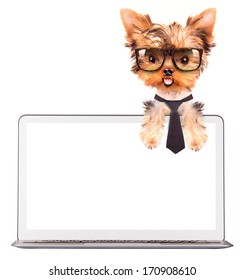 Dog Using Computer Laptop Empty Screen Stock Photo 170908610 | Shutterstock