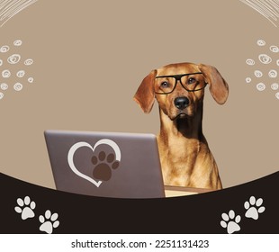 Dog using laptop computer isolated over beige background. Trend illustration collage.