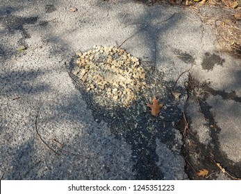 Dog Vomit Or Puke On Black Asphalt