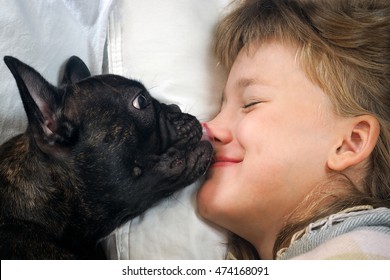 Dog Wakes Owner Kiss, Licking The Face, Nose. Concept - Good Morning, Happy Awakening Of Love And Affection