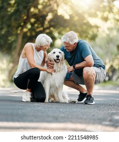 Dog walk, nature and senior couple walking their pet for exercise on a road in Germany together. Happy, calm and healthy elderly man and woman training their animal on a street park in summer - Shutterstock ID 2211548985