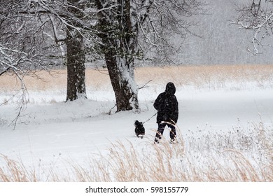 dog walker