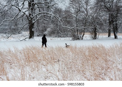 dog walker