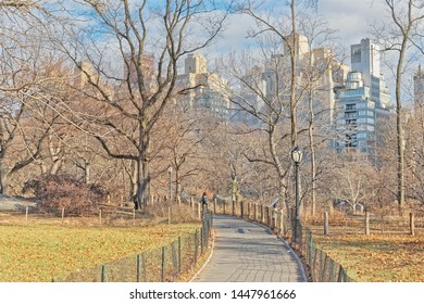 Dog Walker In Central Park By The Rocks In Winter Season, Manhattan New York City USA.