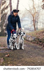 Dog Walker With Dalmatian Dogs Enjoying In Park. 