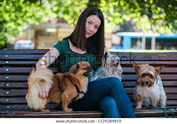 Dog walker sitting on bench and enjoying in park with\
dogs. 