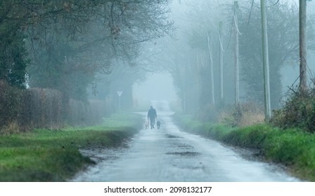 Dog walker walks down a long, tree-lined rural road on a misty morning, in the UK countryside - Powered by Shutterstock