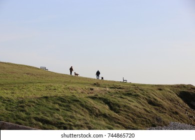 Dog Walking