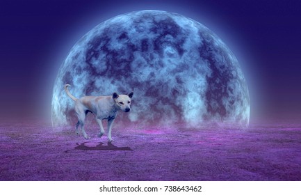 The dog walking on the full moon. - Powered by Shutterstock