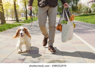 Dog walks next to a man with bag of groceries. Urban life with pets, dogs as companions
