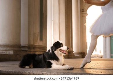 dog watches a ballet dancer's poised performance on a sunlit classical porch, creating a scene of grace and companionship between the arts and man's best friend - Powered by Shutterstock