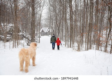 Dog Watching Man And Child Walk Down Snowy Path In Woods To Cabin.