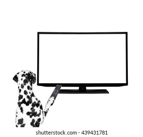 Dog Watching Television -- Isolated On White