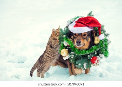 Dog Wearing Christmas Wreath And Santa Hat Sitting With Kitten Outdoors In Snow