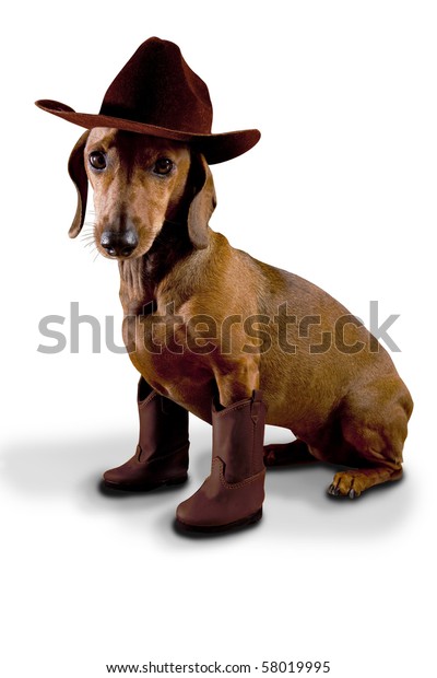 Dog Wearing Cowboy Hat Boots Stock Photo (Edit Now) 58019995