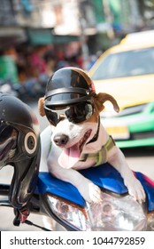 Dog Wearing A Helmet On A Motorcycle.