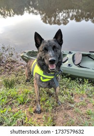 Dog Wearing A Life Preserver Next To A Kayak On A Lake.