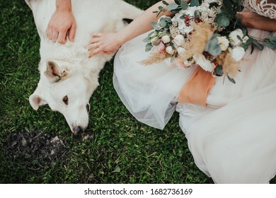 Dog At A Wedding With A Tie