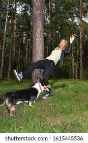 Dog Welsh Corgi Cardigan Confused Their Owner Around The Tree