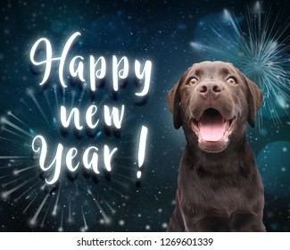 Dog Wish You A Happy New Year For 2019 With Dark Blue Firework Background